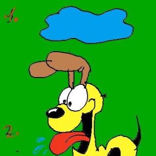 Seehund