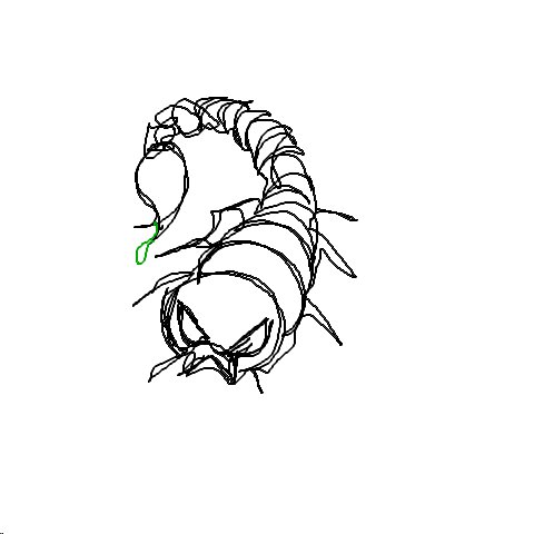 Skorpion
