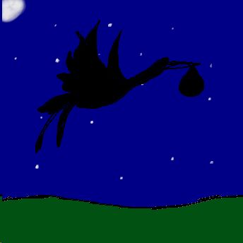Storch