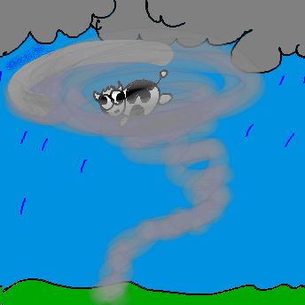 Sturm