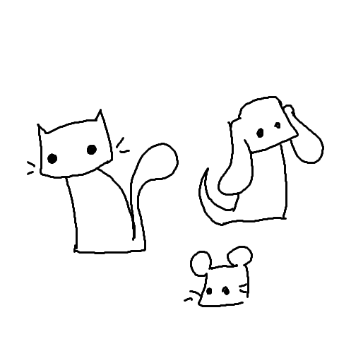 Tier