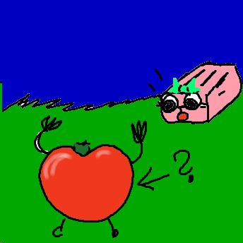 Tomate