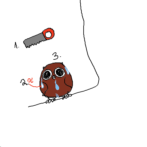 saw-whet owl