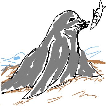 Seelöwe