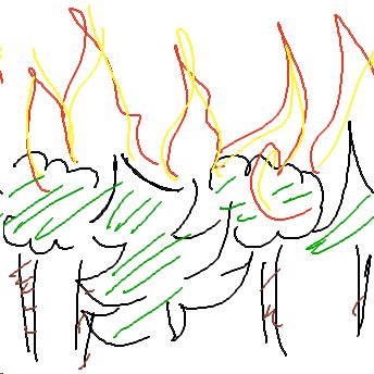 Waldbrand