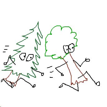 Waldlauf