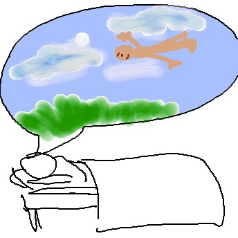 fliegen