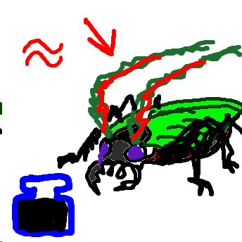 Füller