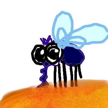 Frucht