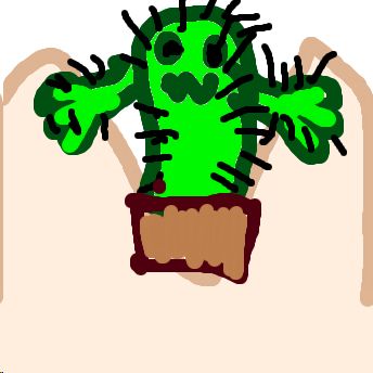Kaktus