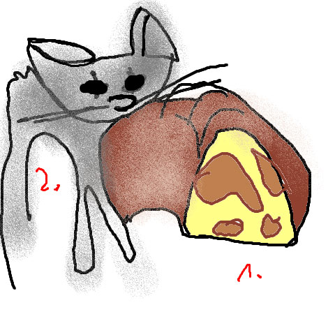 Marmorkatze