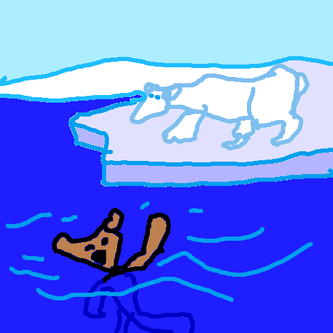 Seebär