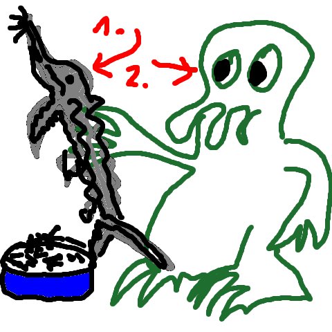 Störung