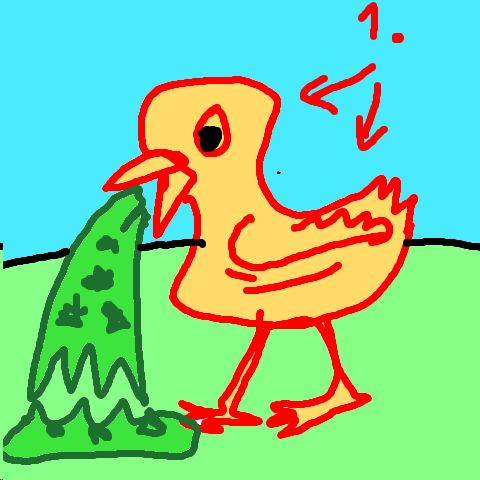 Vogel