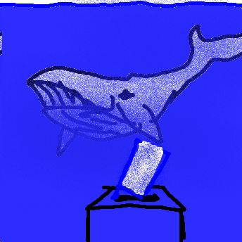 Wahl