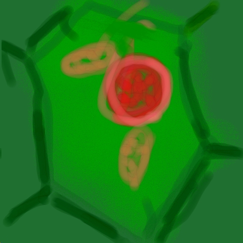 Zelle (1)
