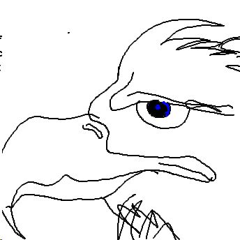 adlerauge