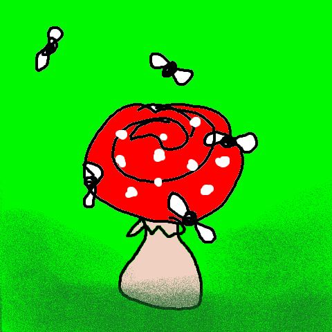 fliegenpilzrot