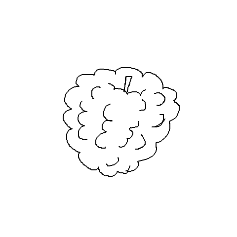 Himbeere