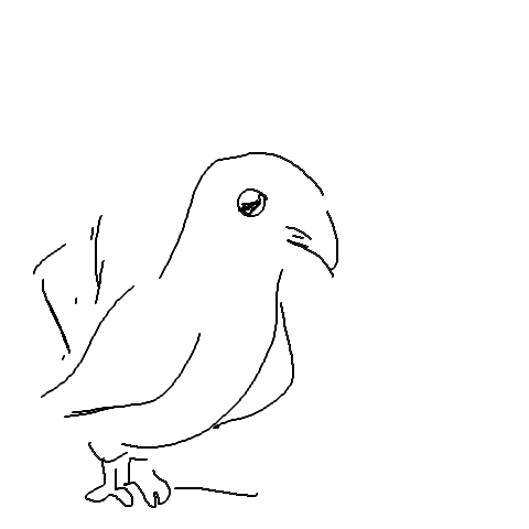 Vogel