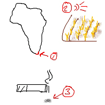 Apfeltasche