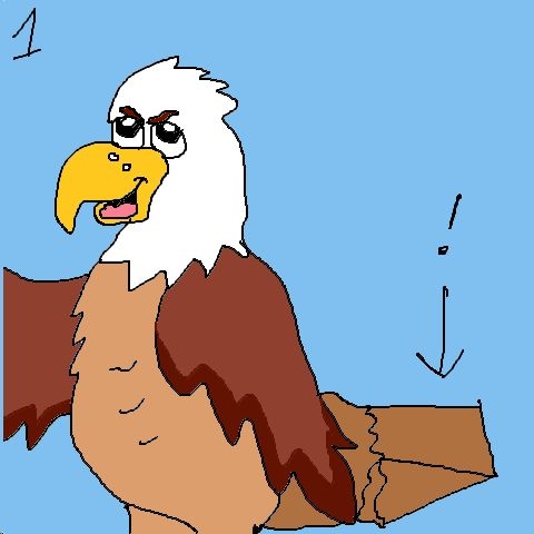 Keilschwanzadler