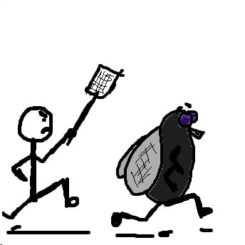 fliegen