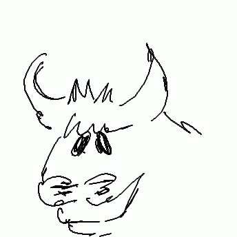 Stier