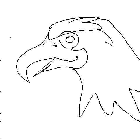 Adler