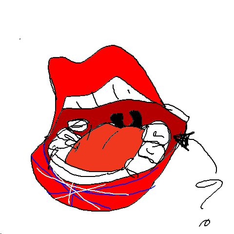 Backenzahn