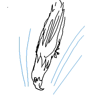 Sturzflug