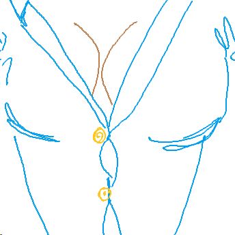 blusenknopf