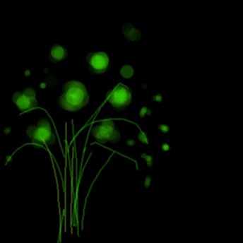 feuerwerk