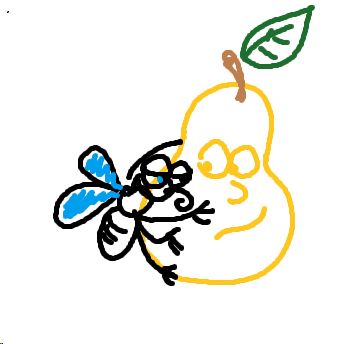 fruchtfliege