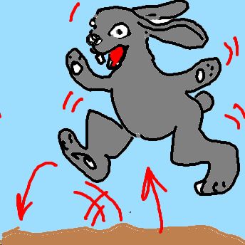 springhase