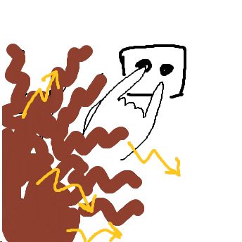 steckdose