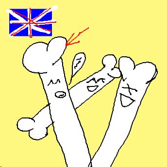 funny bones