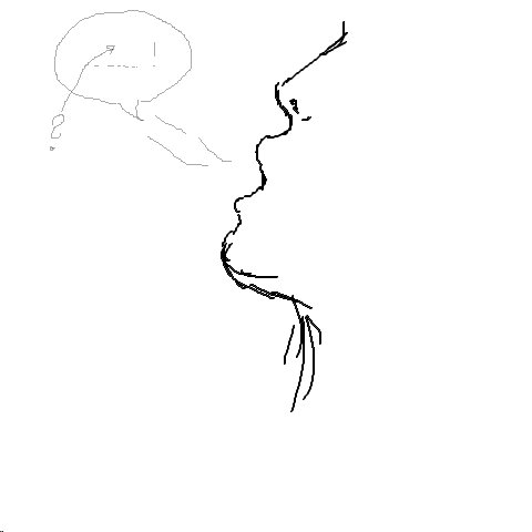 Wort