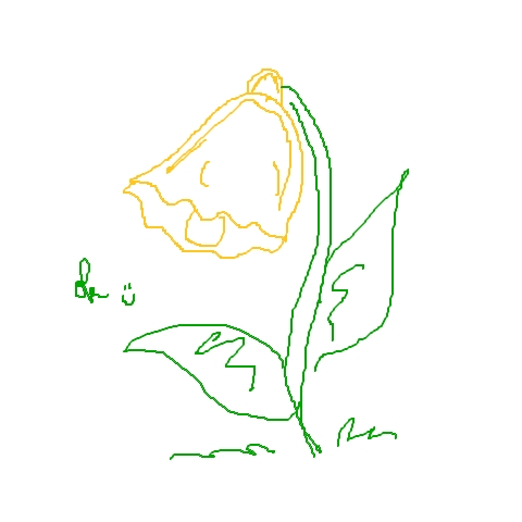 Glockenblume
