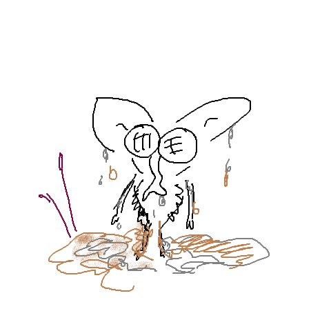 Schlammfliege