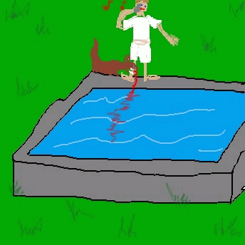 Beruf, beißen, Schwimmbad