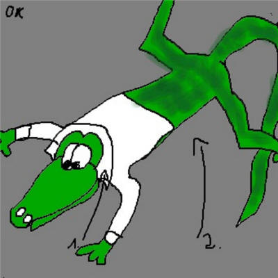 Kragenechse