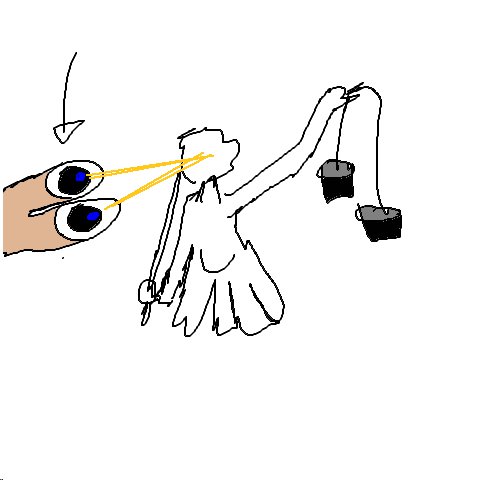 Zeuge