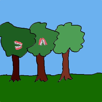 Kiefernwald