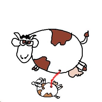 Nabelschnur