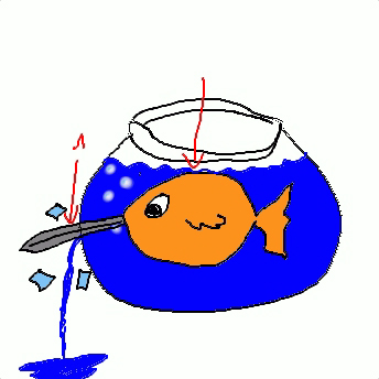 Schwertfisch