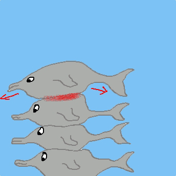 stapeln, Delfin, Reibe
