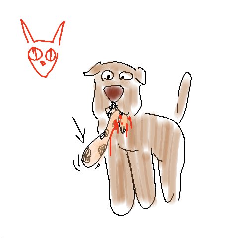 Katze
