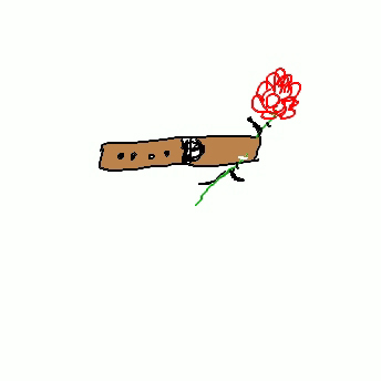 Gürtelrose