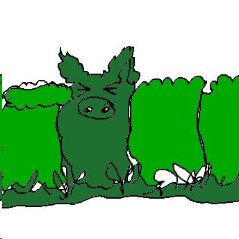 hedgehog